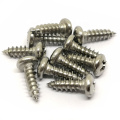 Stainless steel low price philip drive Pan head self tapping screws white round screw